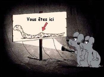 mdr